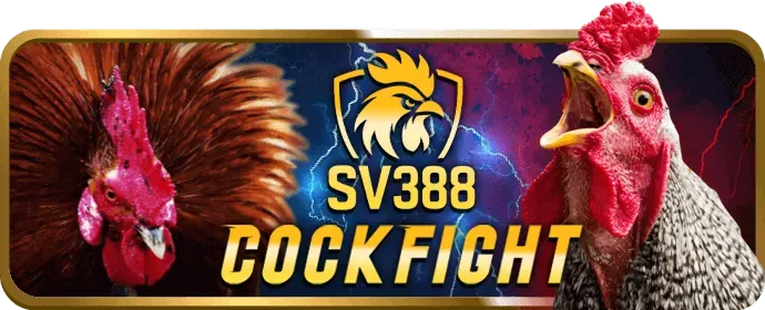 Tiền thưởng và hoàn trả cao hơn tại G6BET