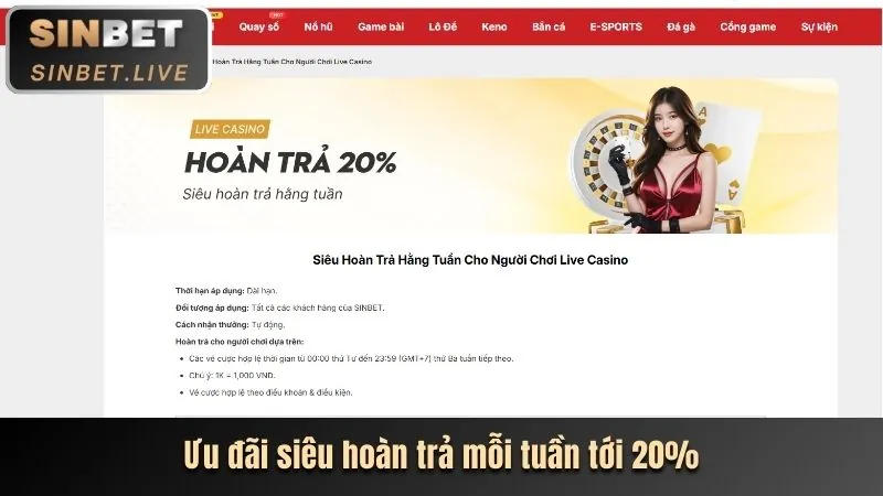 G6BET và những giải đấu thể thao lớn nhất 2026